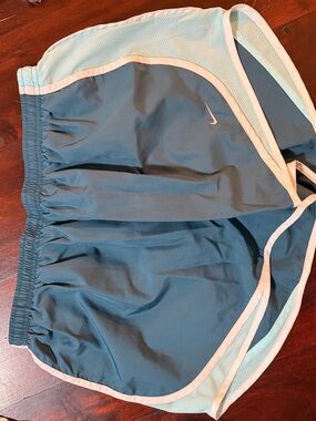 Nike Women's Teal and White Running Shorts